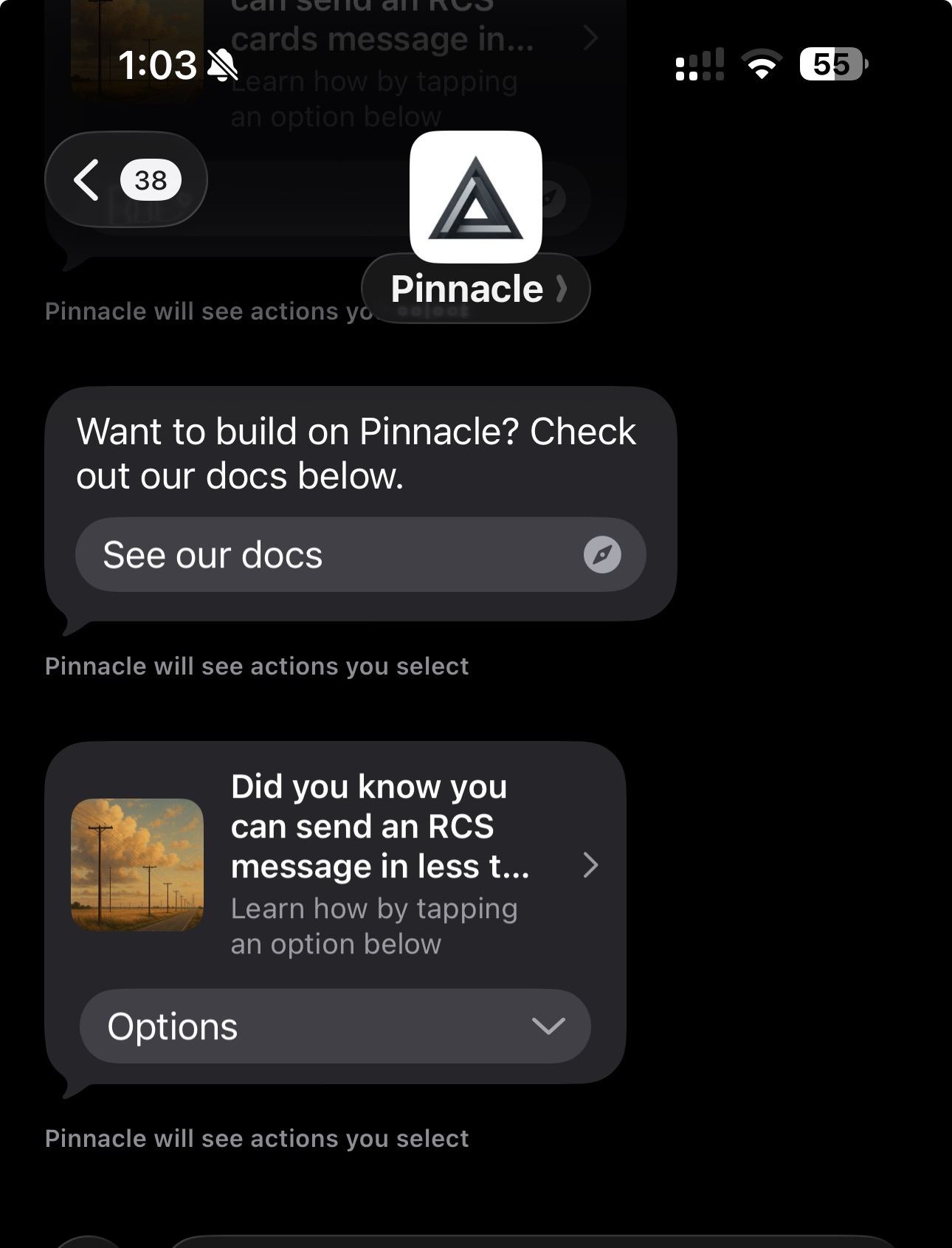 RCS message example